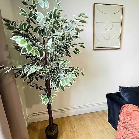 Apartment Le Magnifique - *